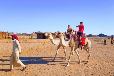 Una Meravigliosa Immagine Del Safari Con Cammelli In Hurghada